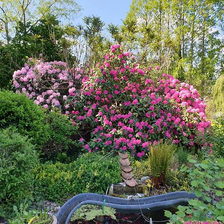 Ferienwohnung Gartenblick Вестерщеде Екстериор снимка