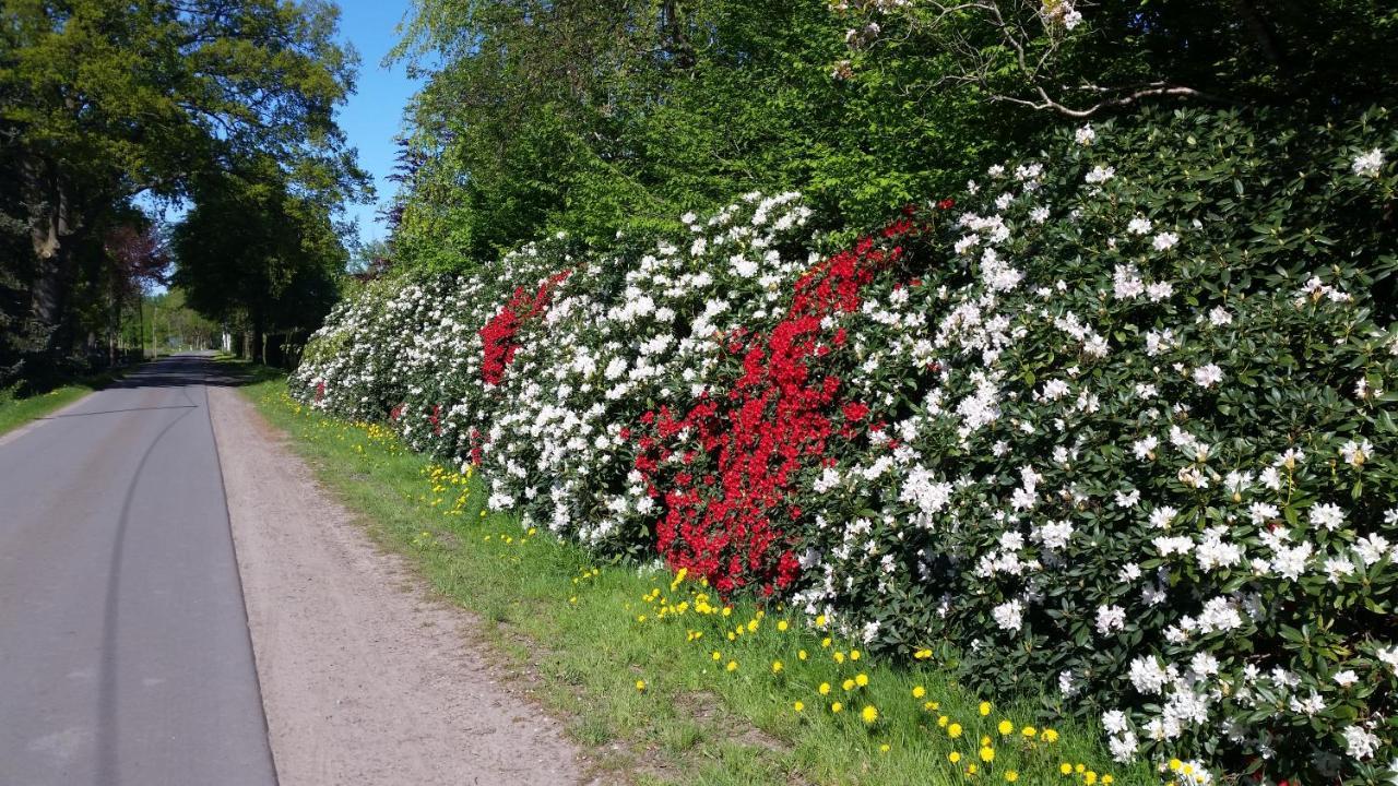 Ferienwohnung Gartenblick Вестерщеде Екстериор снимка