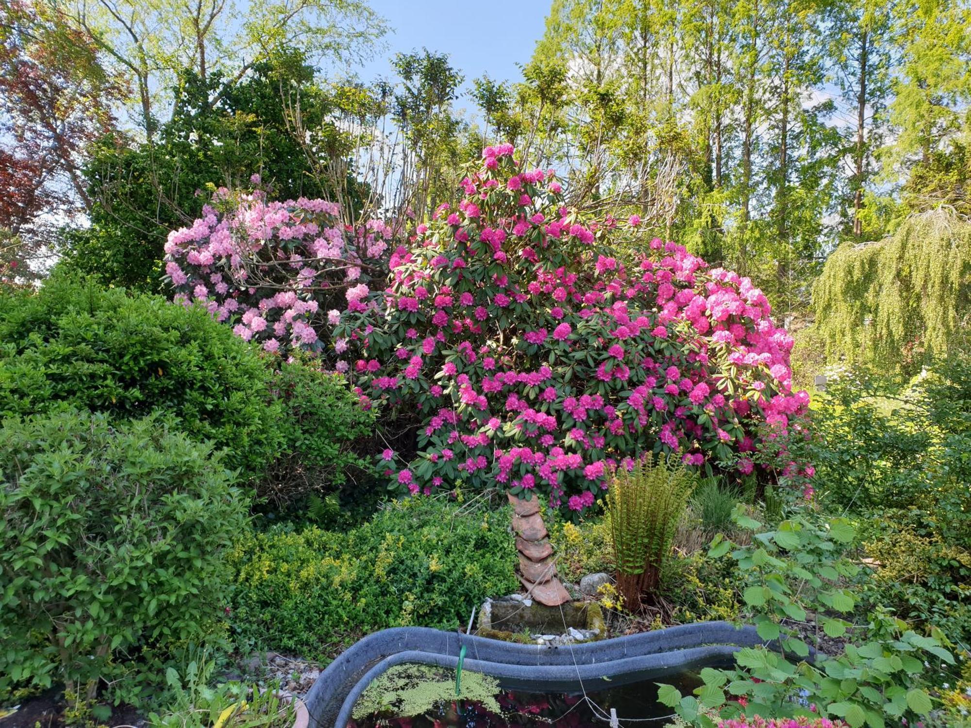 Ferienwohnung Gartenblick Вестерщеде Екстериор снимка
