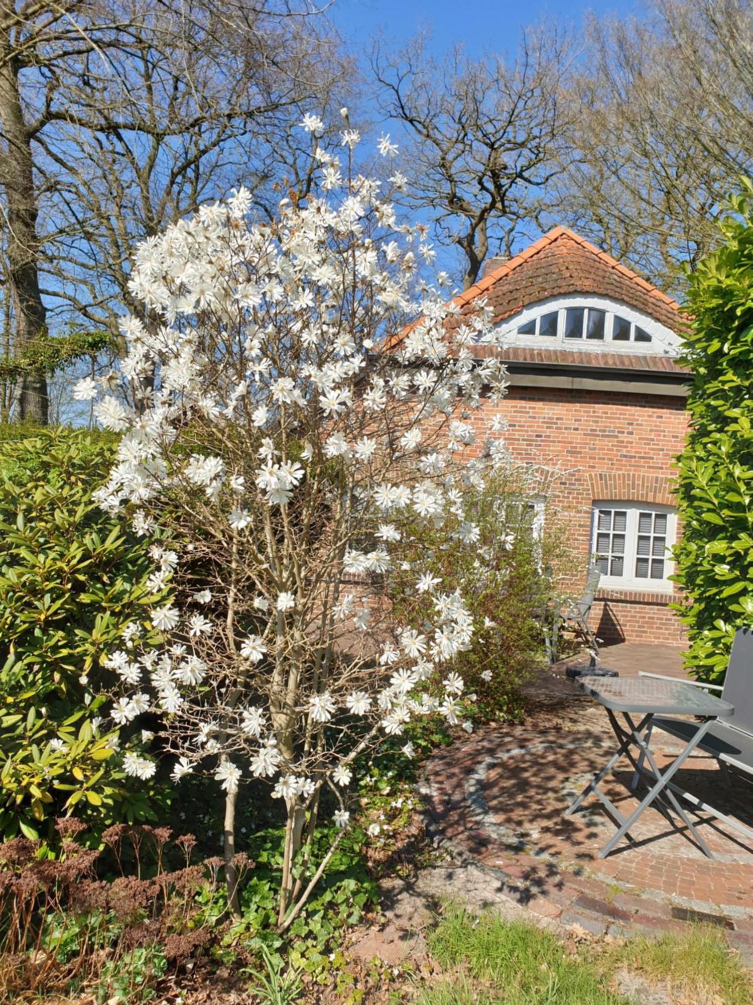 Ferienwohnung Gartenblick Вестерщеде Екстериор снимка